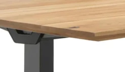 Florenz Stehschreibtisch höhenverstellbar Holz