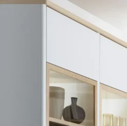 Solution Wohnwand modern