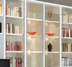 Studio Bücherregal mit TV-Element